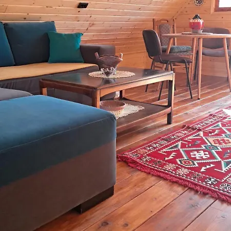 Brvnara Topilo Holiday home